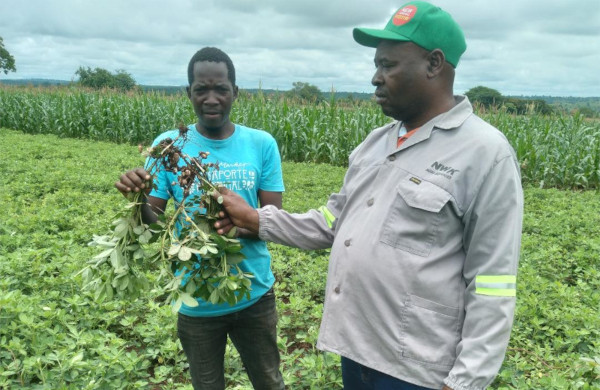Zambian farmers cooperative meeting