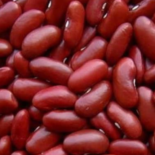 Beans crop zambia