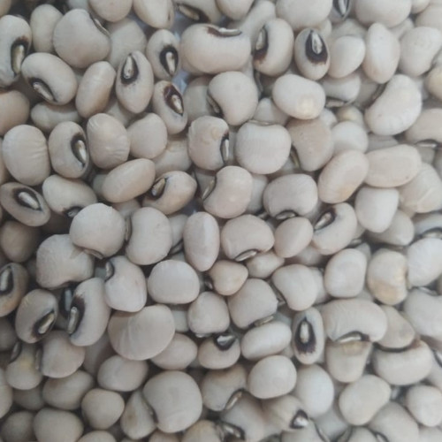 Cowpeas zambia